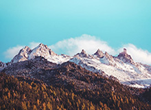 九游体育平台：与你的热情并肩前行的全面体育生态